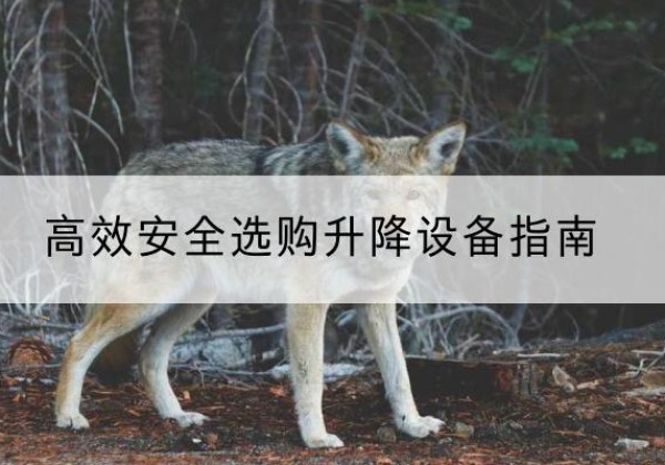 蕉岭升降货梯厂家推荐-*安全选购升降设备指南