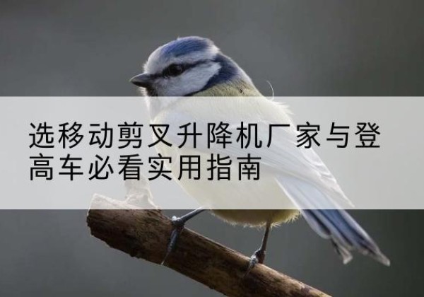 蕉岭电动升降机厂家-选移动剪叉升降机厂家与登高车必看实用指南