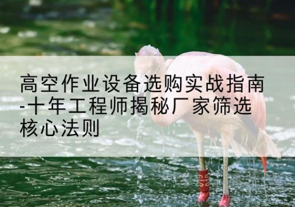 蕉岭剪叉式升降机厂家-高空作业设备选购实战指南-十年工程师揭秘厂家筛选核心法则